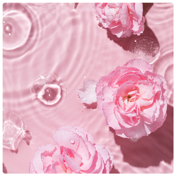 Fragrance Image 2